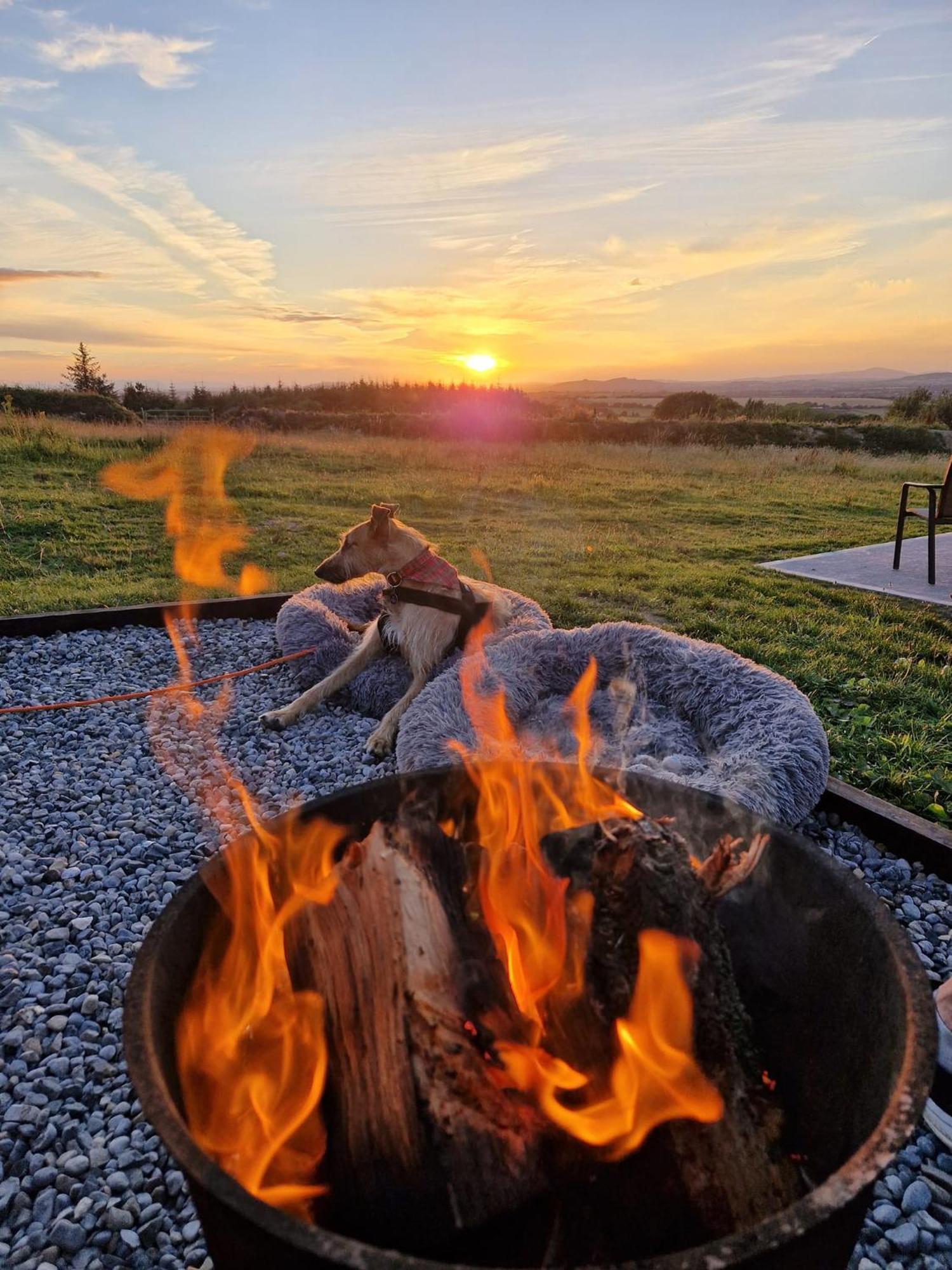 Forth Mountain Glamping Ballintlea Exterior photo